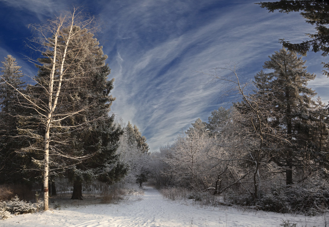 photo "***" tags: landscape, winter