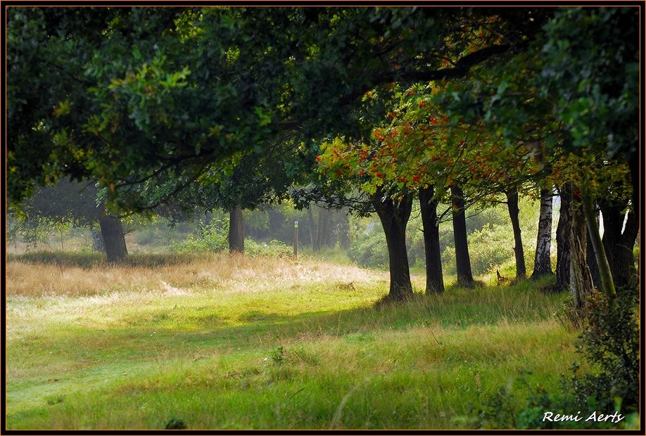 photo "Here I come to rest" tags: landscape, summer