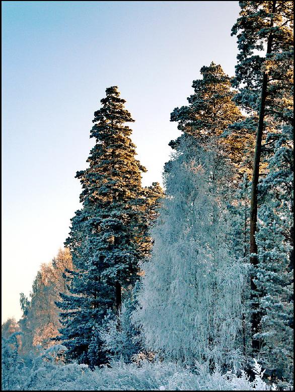 photo "***" tags: landscape, winter
