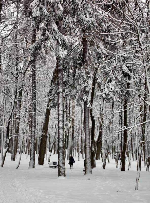 фото "30 декабря" метки: пейзаж, зима