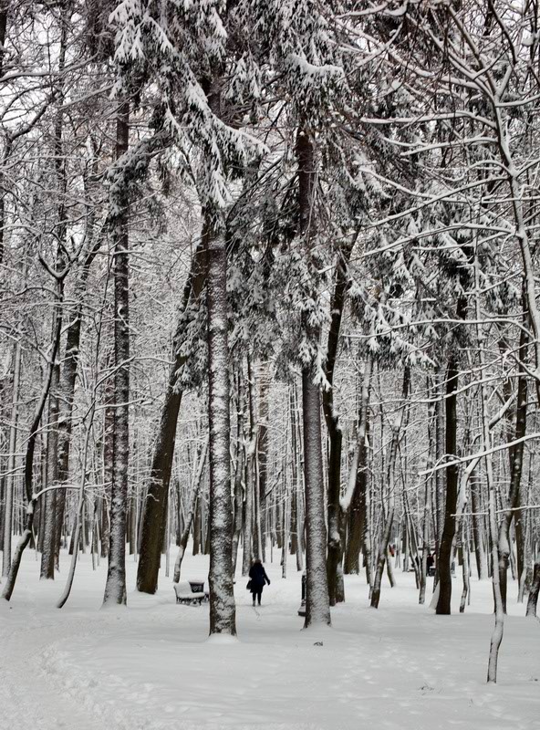 photo "***" tags: landscape, winter