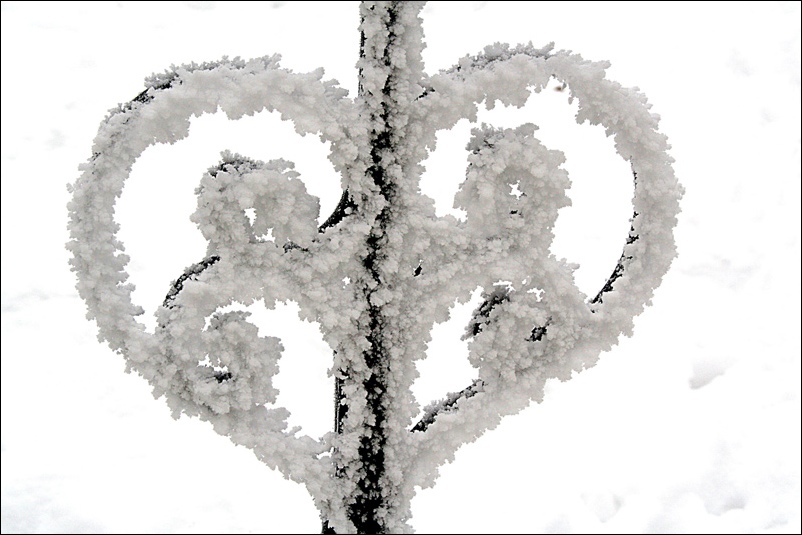 photo "Cold Heart / Холодное сердце" tags: landscape, black&white, winter