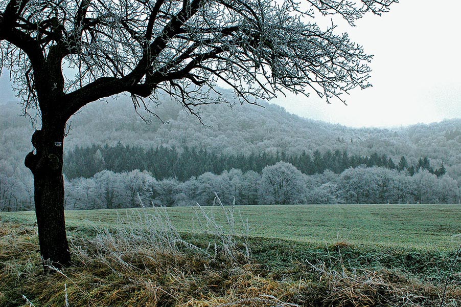 photo "***" tags: landscape, winter