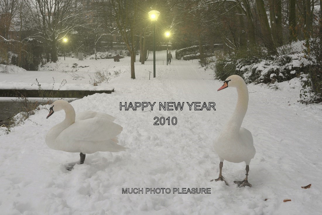 photo "HAPPY NEW YEAR." tags: landscape, 