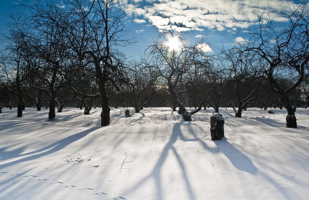 photo "***" tags: landscape, winter