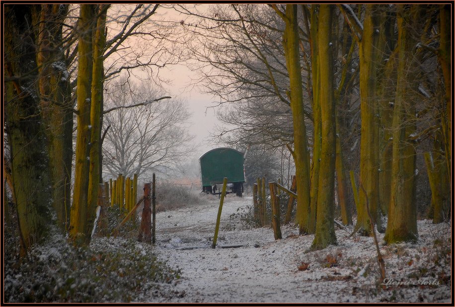 photo "Nature reserve De Maten Genk" tags: landscape, winter