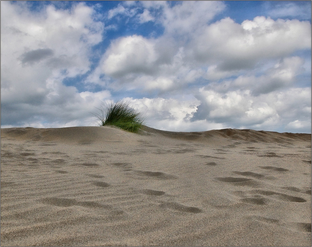 фото "In Dunes" метки: пейзаж, лето