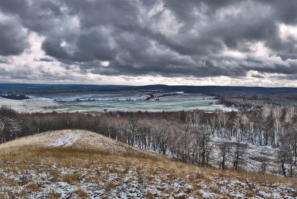 photo "***" tags: landscape, forest, winter