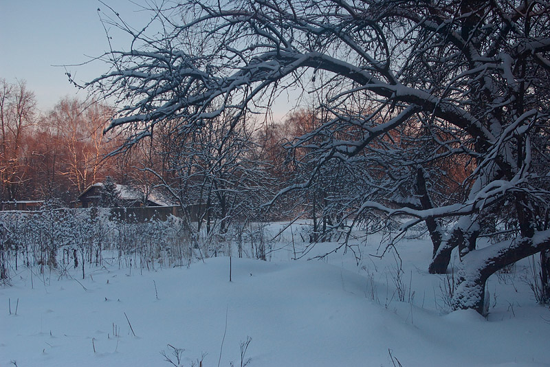 photo "***" tags: landscape, winter