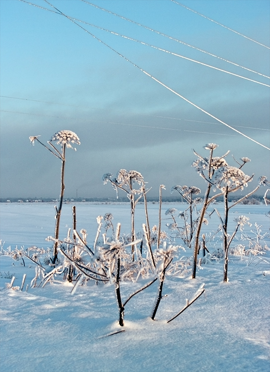 photo "***" tags: landscape, winter