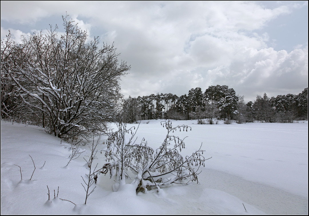 photo "winter landscape" tags: landscape, forest, winter