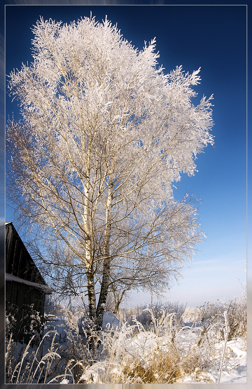 photo "Зима" tags: landscape, winter