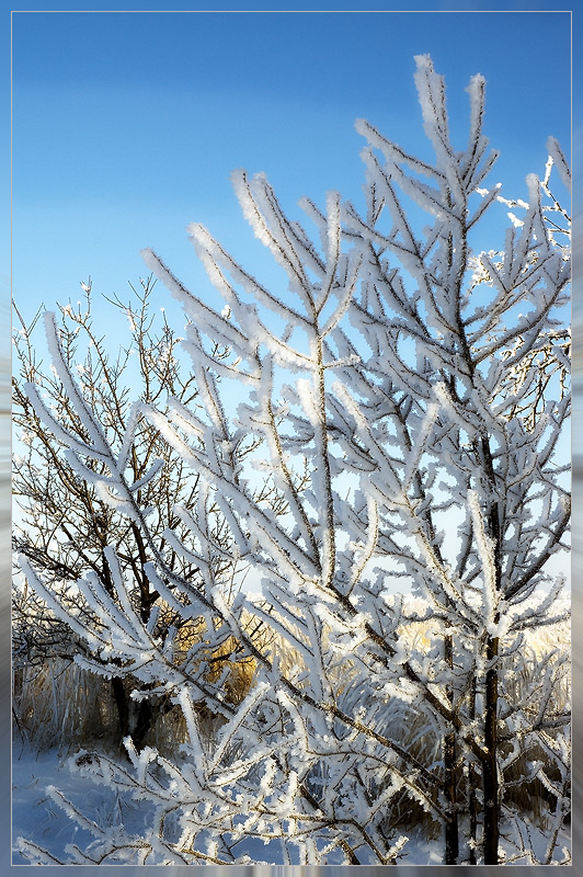 photo "зима пейзаж" tags: landscape, winter