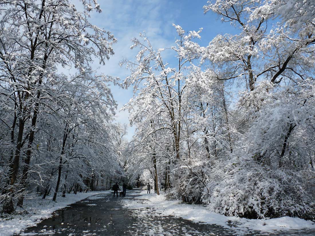 photo "***" tags: landscape, winter