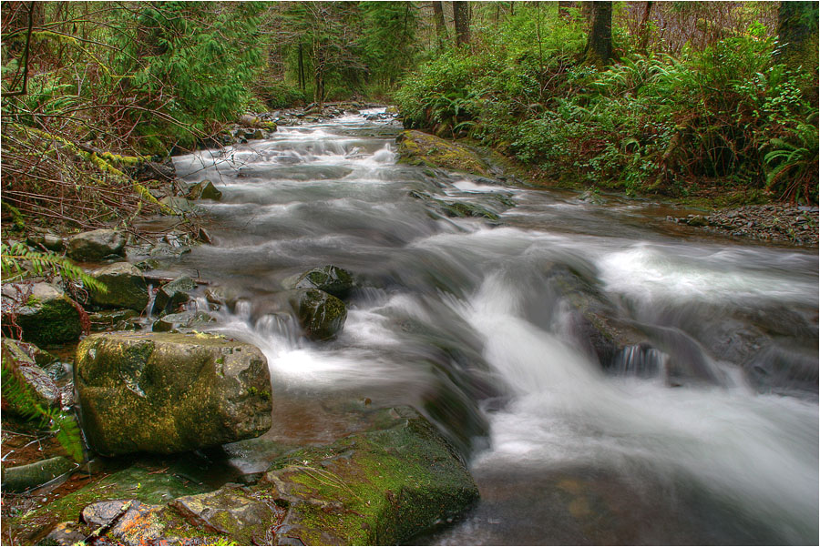 photo "***" tags: landscape, forest, water