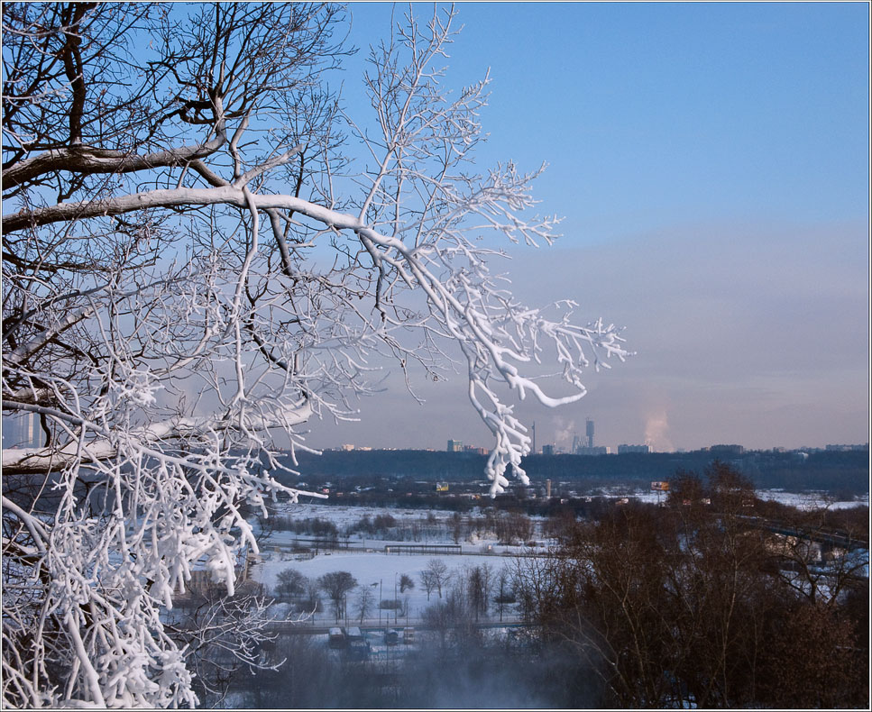 photo "And only one zasnezhena" tags: landscape, winter