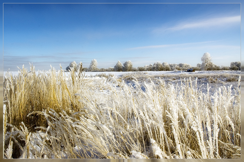 photo "Зима пейзаж" tags: landscape, forest, winter