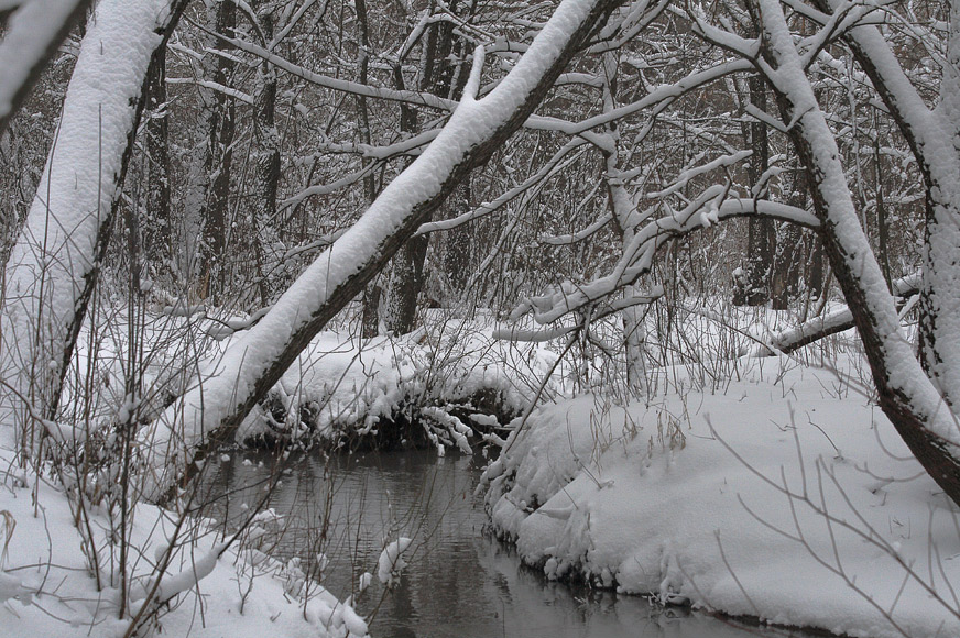 photo "***" tags: landscape, water, winter