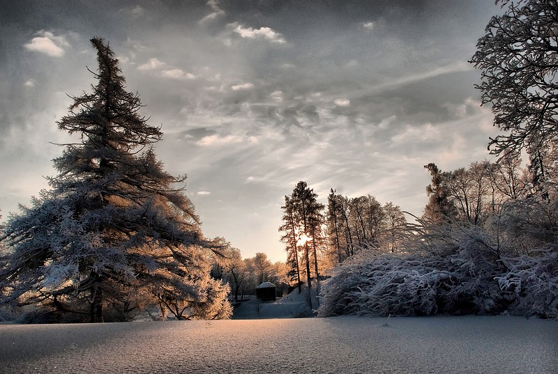 photo "***" tags: landscape, winter