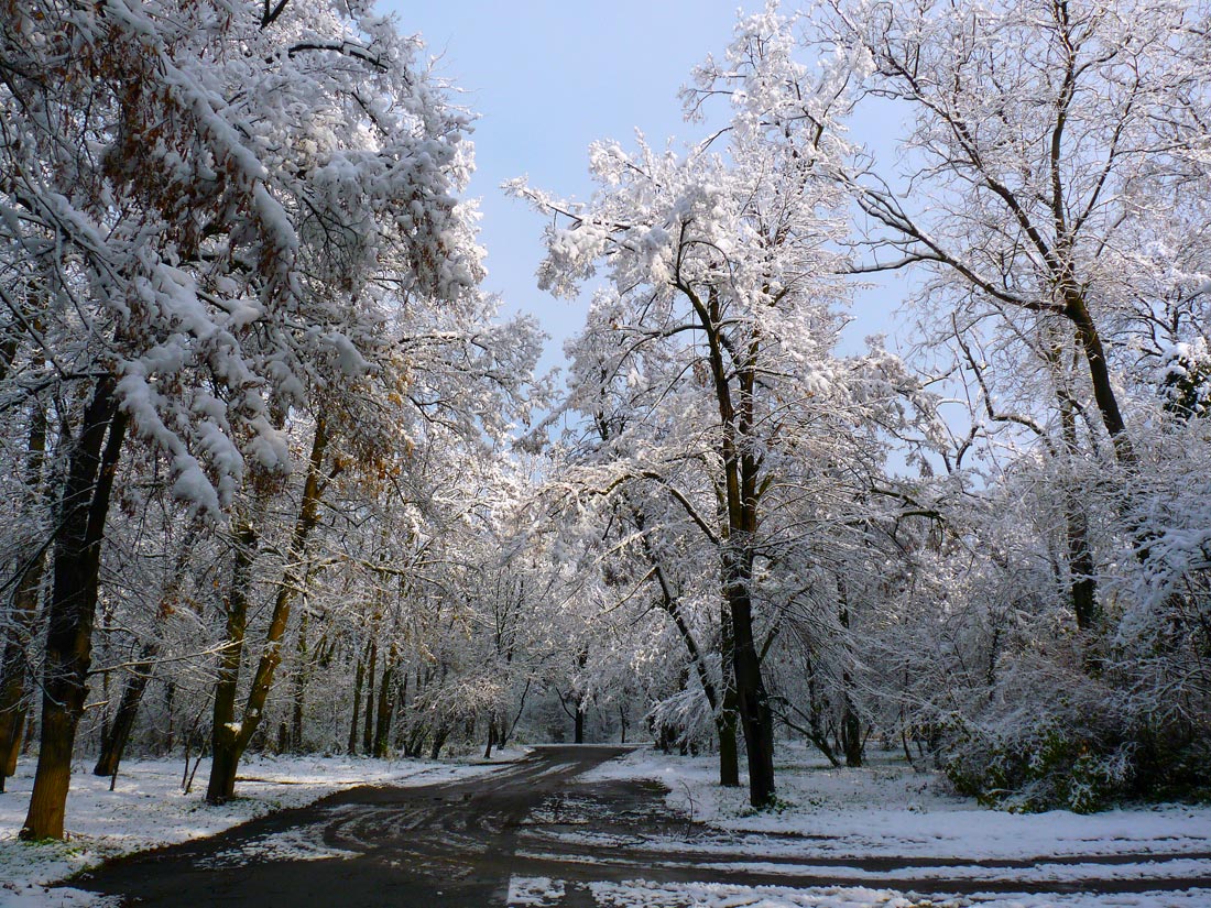 фото "***" метки: пейзаж, 