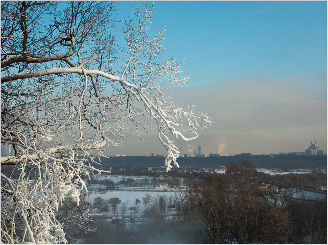 photo "Artificial snow zasnezhena" tags: landscape, winter