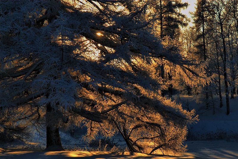 photo "***" tags: landscape, winter