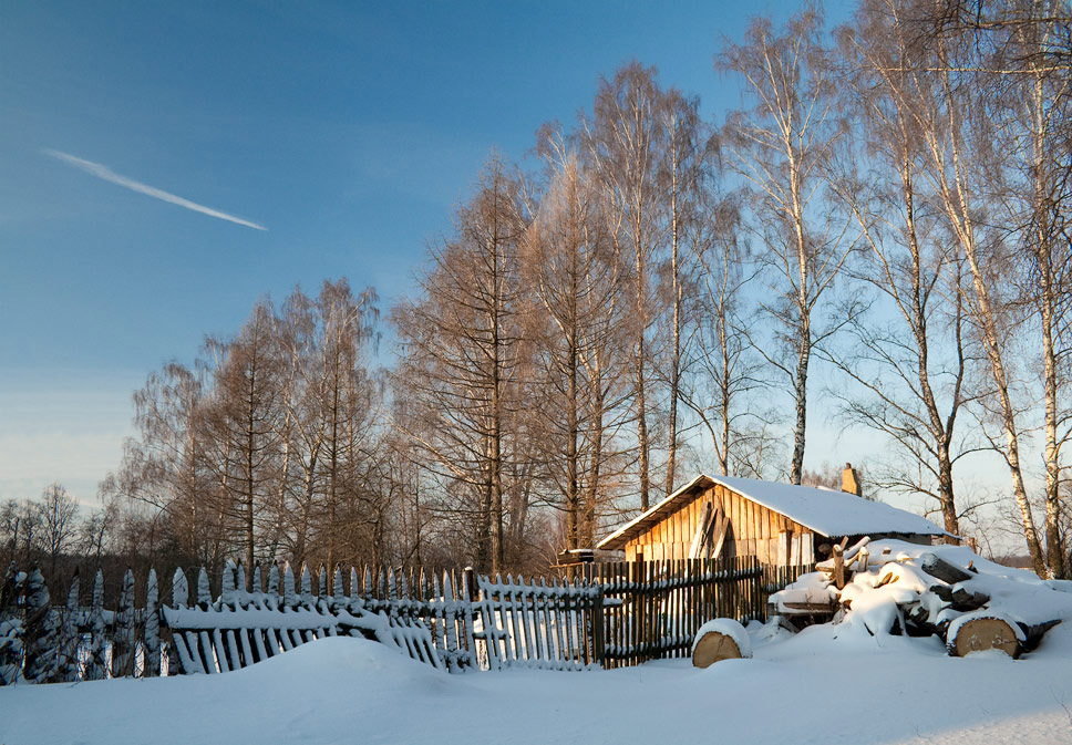 фото "В гостях у лесника" метки: пейзаж, зима