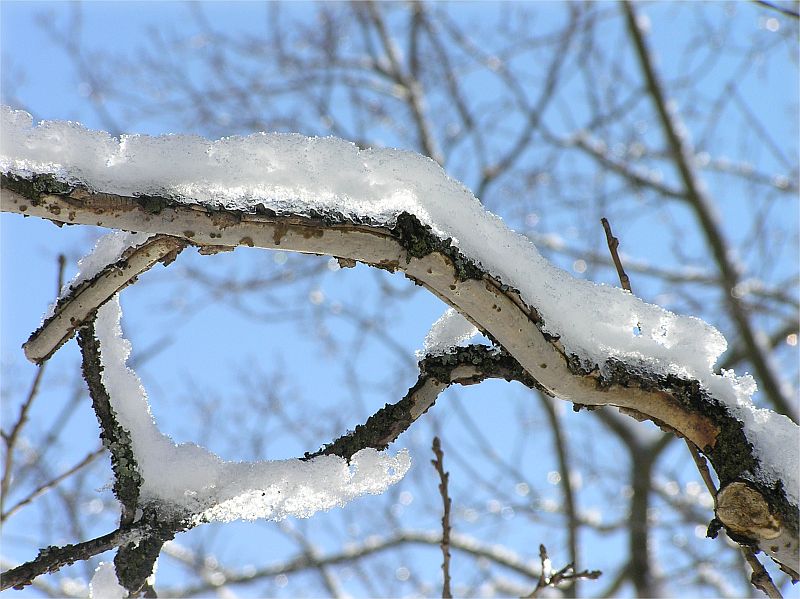 photo "***" tags: landscape, winter