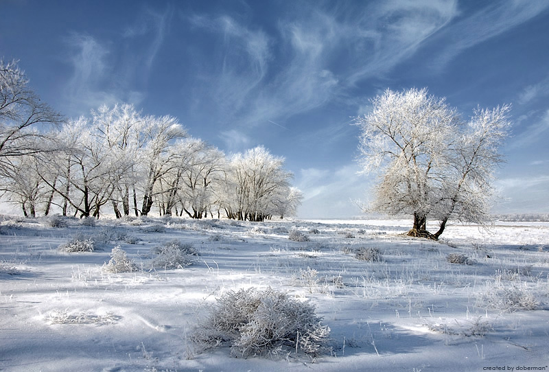 photo "***" tags: landscape, winter