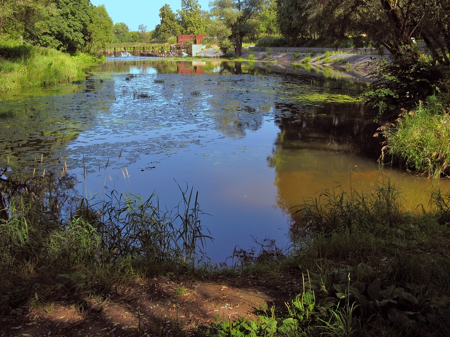 photo "River Nara in July" tags: landscape, summer, water