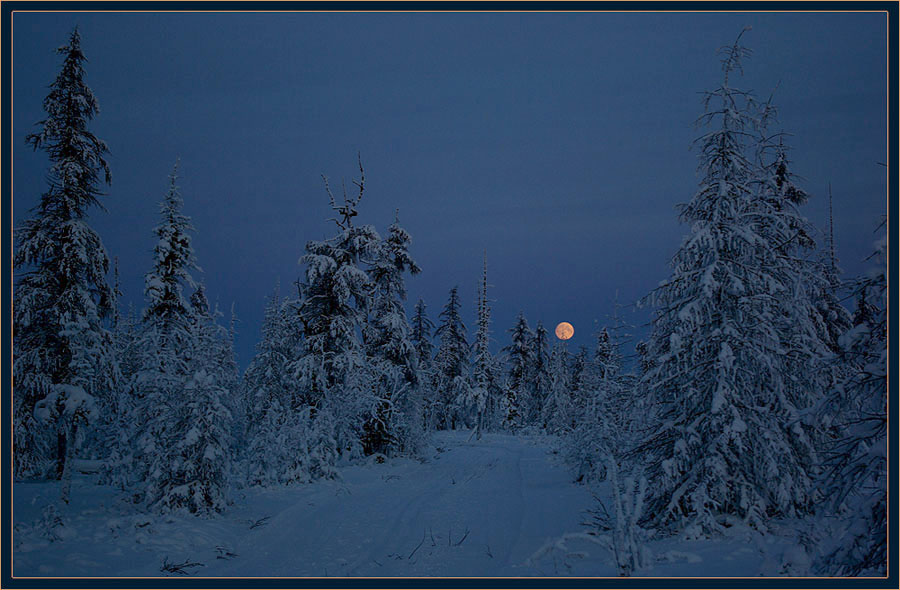 photo "***" tags: landscape, forest, winter