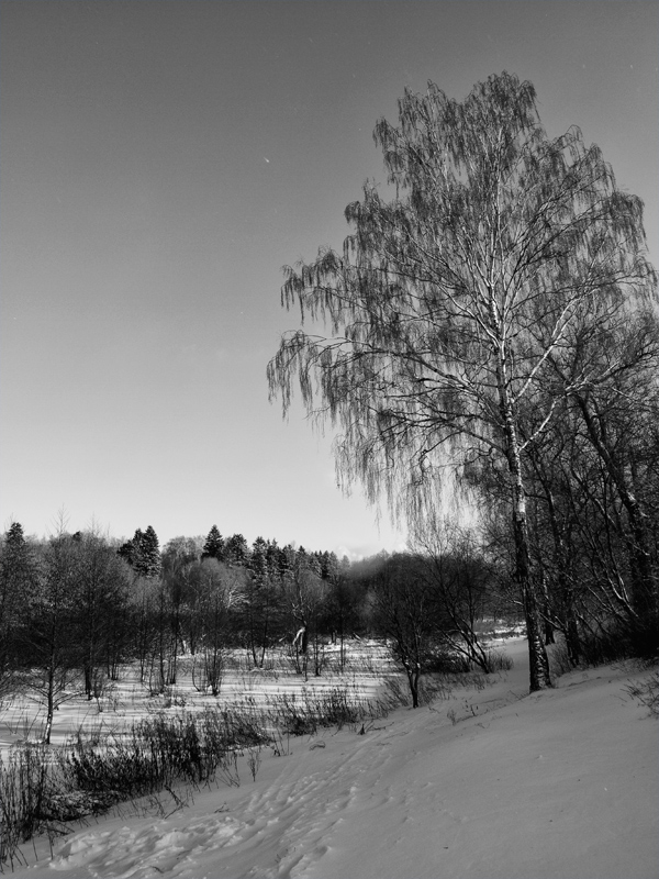 photo "***" tags: landscape, winter