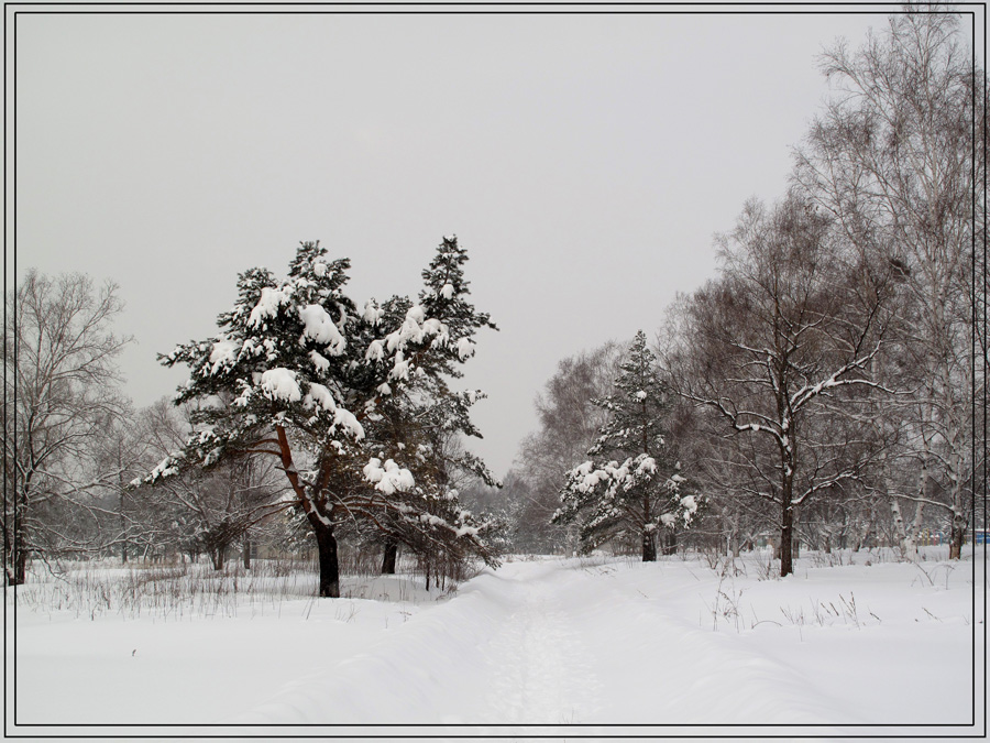 photo "***" tags: landscape, winter