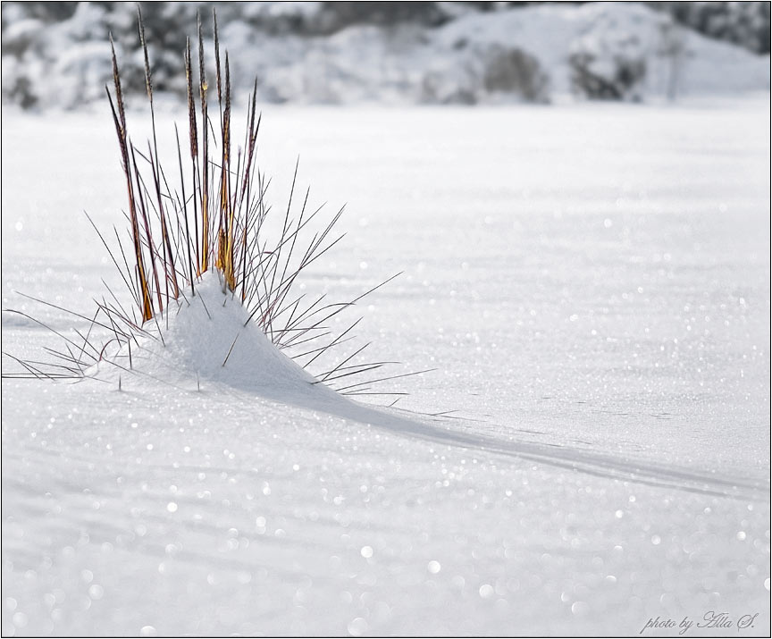 фото "Земля под снежным пушистым одеялом" метки: пейзаж, зима