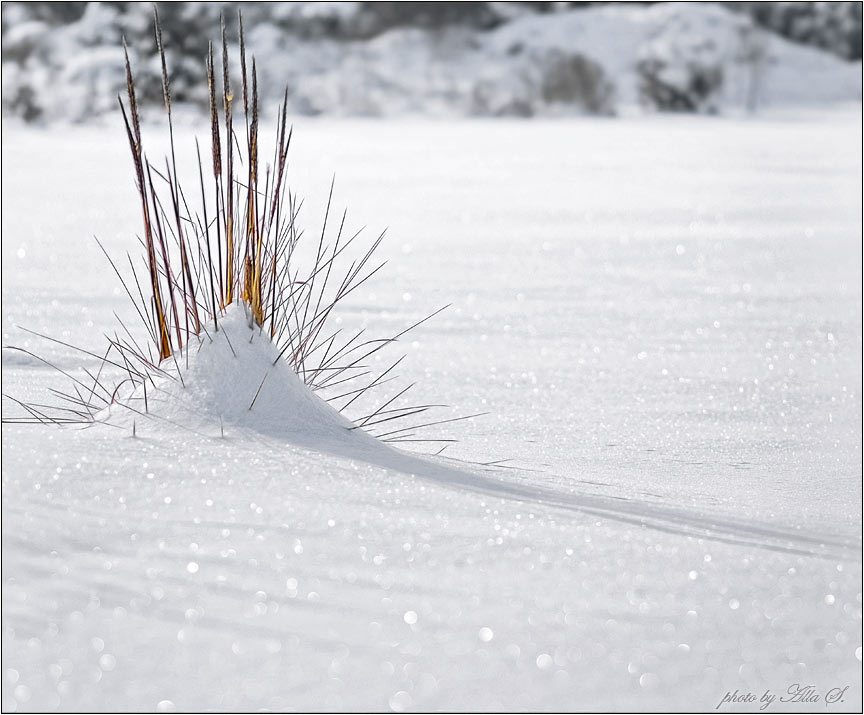 photo "***" tags: landscape, winter