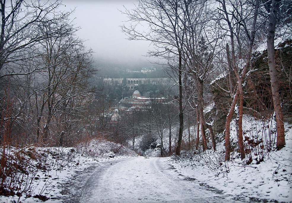 photo "The road to town" tags: , 