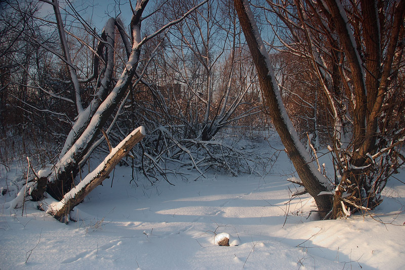 photo "***" tags: landscape, winter