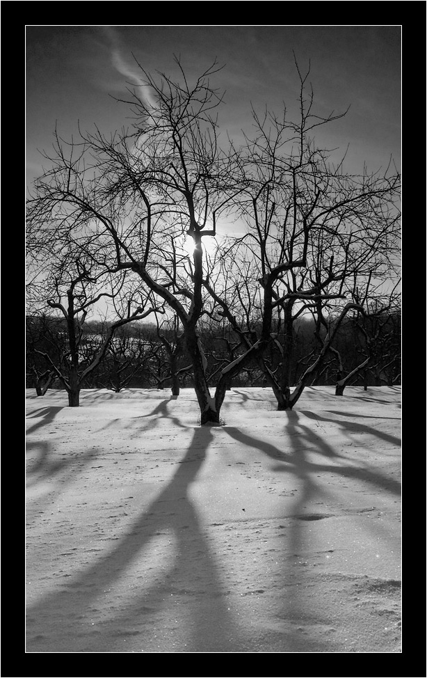 photo "***" tags: landscape, sunset, winter