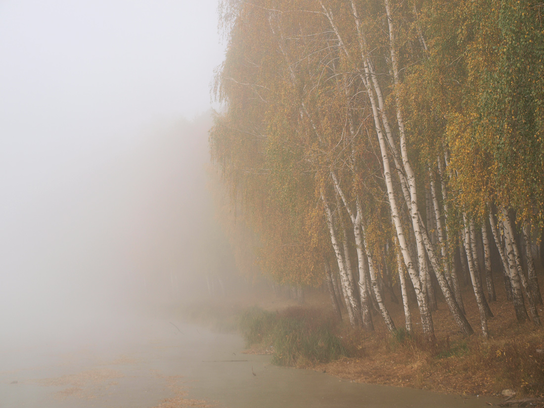 photo "***" tags: landscape, autumn