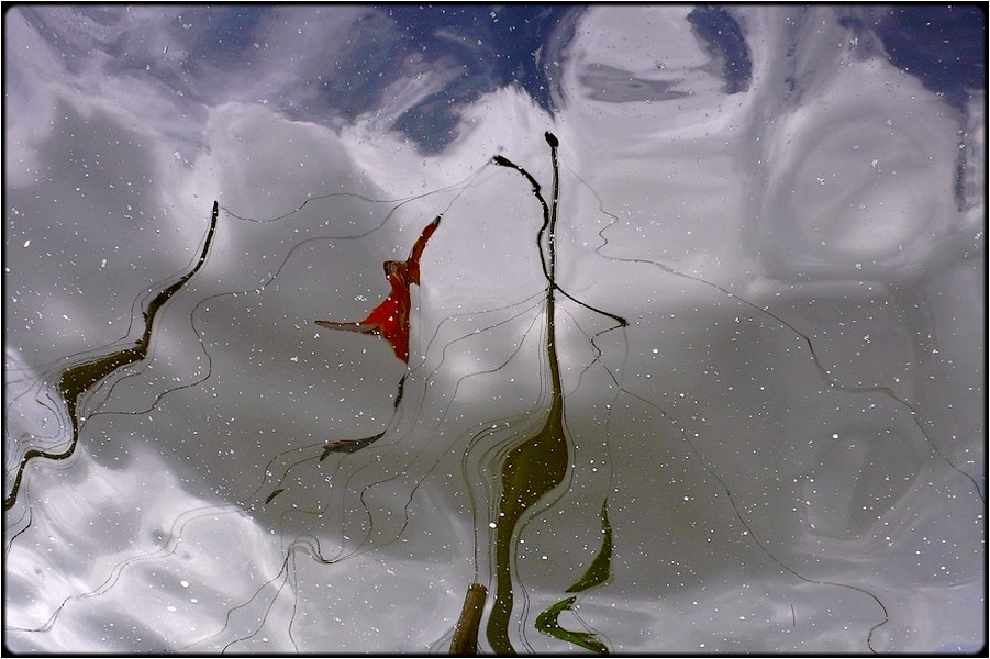 photo "flag in the water" tags: abstract, landscape, water