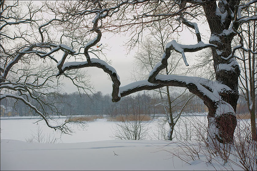 photo "* * *" tags: landscape, winter