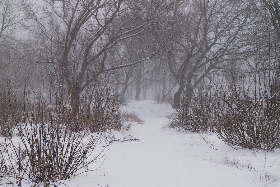 photo "***" tags: landscape, winter