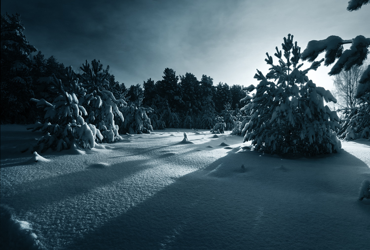 photo "***" tags: landscape, forest, winter