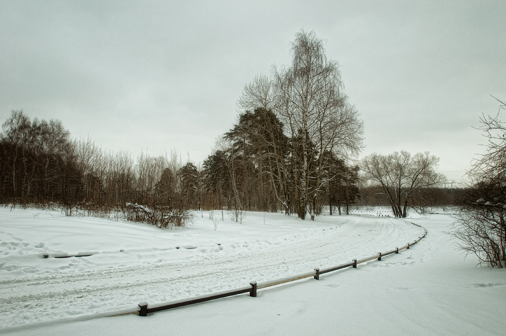 photo "***" tags: landscape, forest