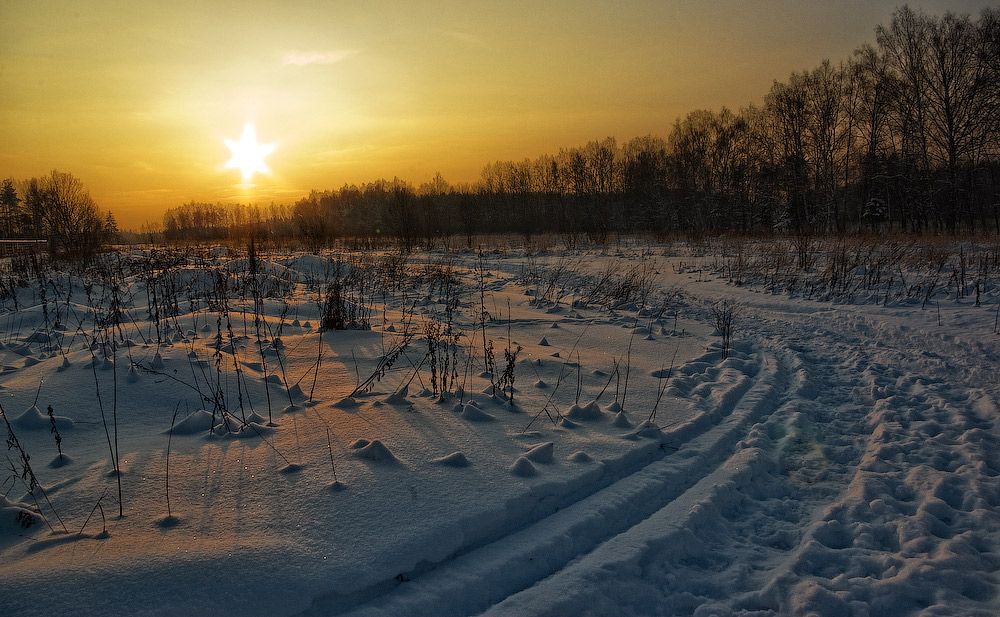 фото "Вечер" метки: пейзаж, лес