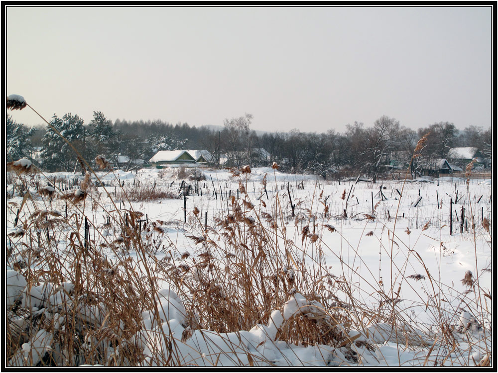 photo "***" tags: landscape, winter