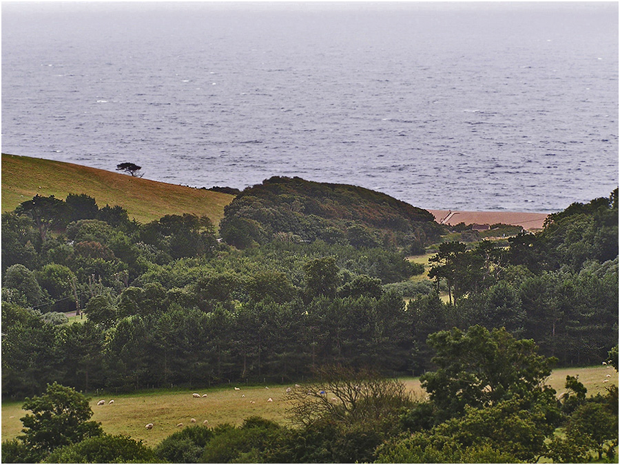photo "Nature idyll" tags: landscape, travel, 