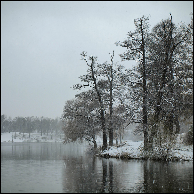 фото "в Озерках первый снег" метки: пейзаж, зима