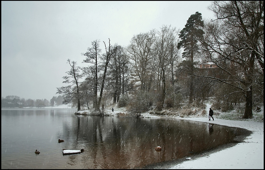 фото "Следы на воде" метки: пейзаж, зима