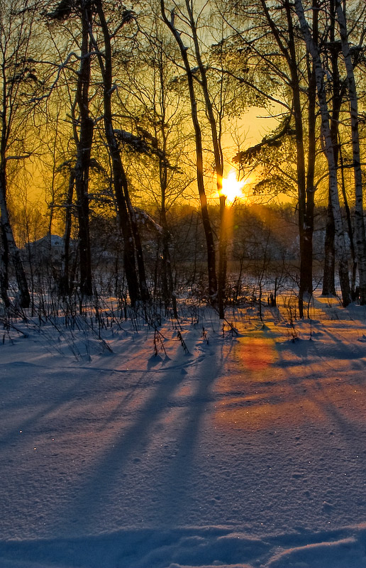 photo "***" tags: landscape, forest, winter